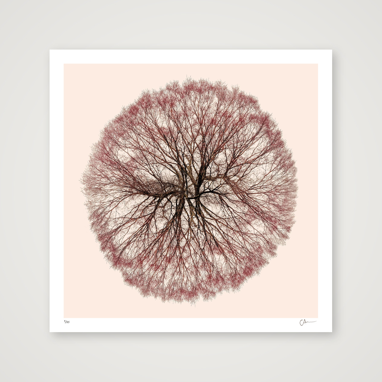 Spanning Tree 1