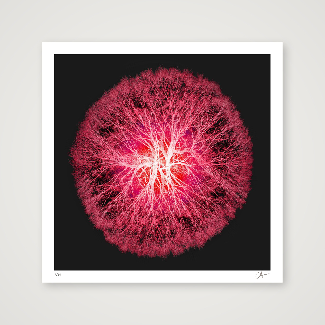 Spanning Tree 2