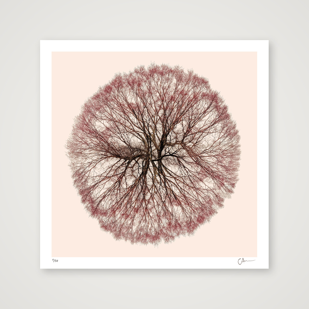 Spanning Tree 1