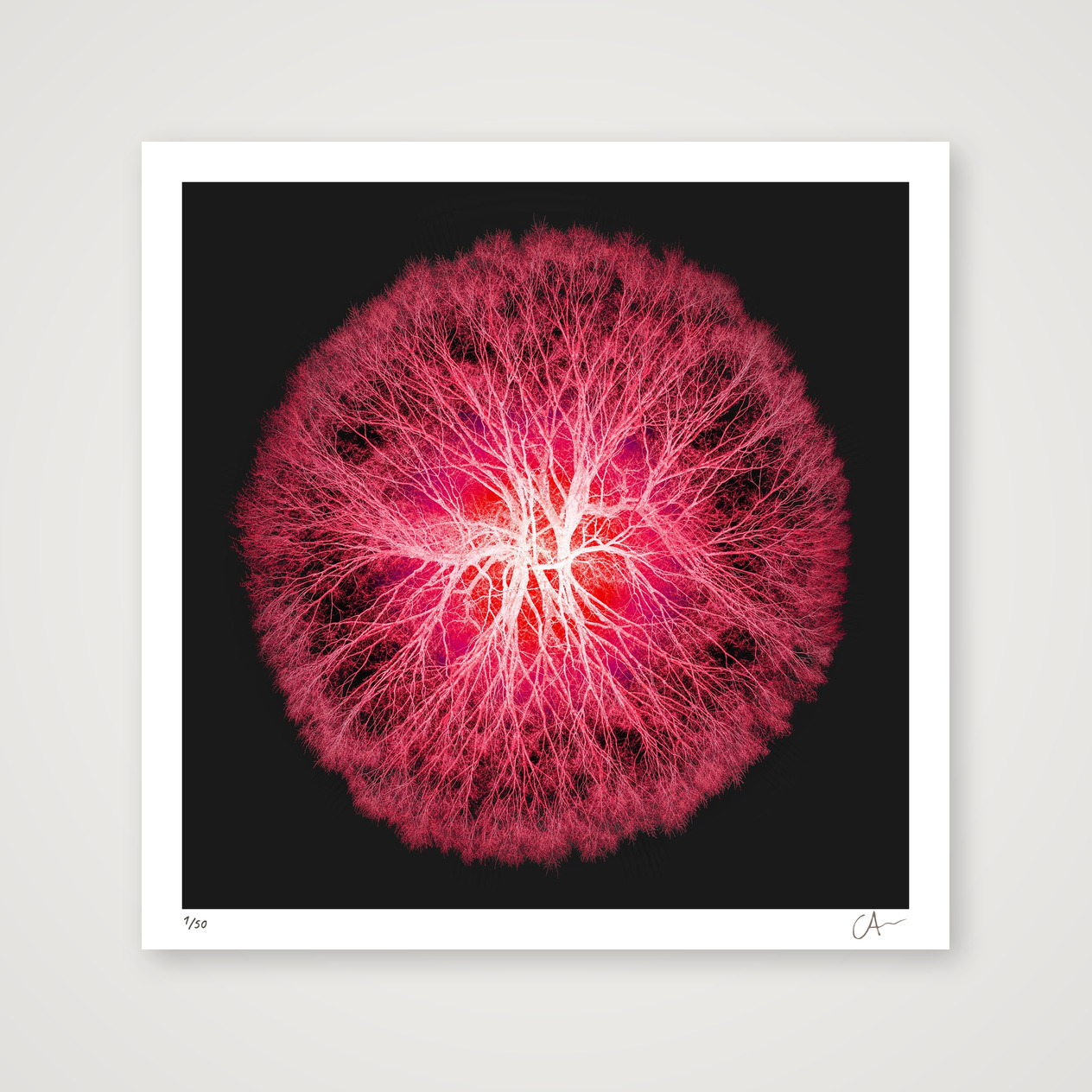 Spanning Tree 2