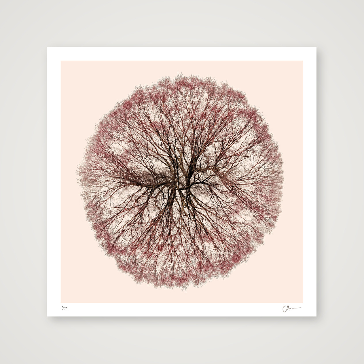 Spanning Tree 1